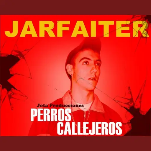 Perros Callejeros