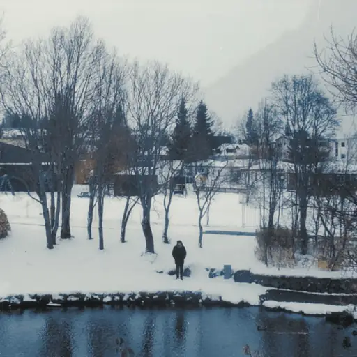 Album cover: Fleeing the Shore