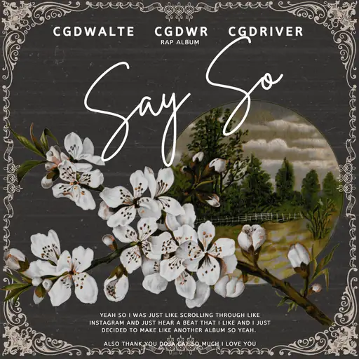 Say So