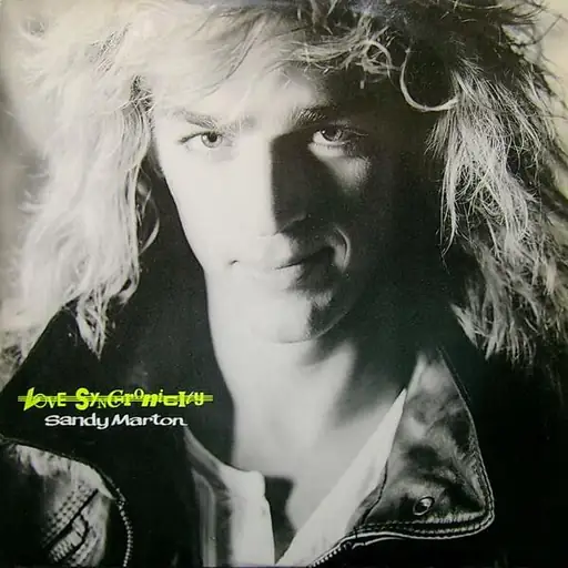 Single cover: Love Synchronicity