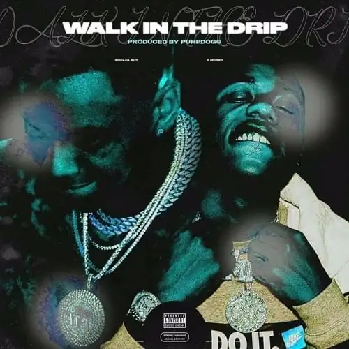 Single cover: Walk In The Drip