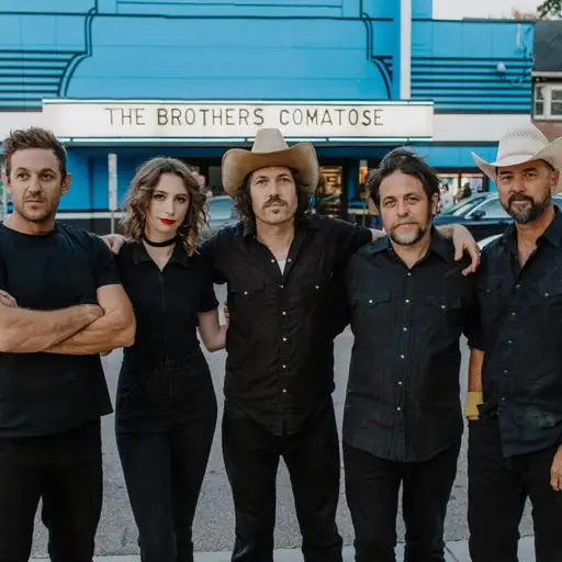 Artist: The Brothers Comatose