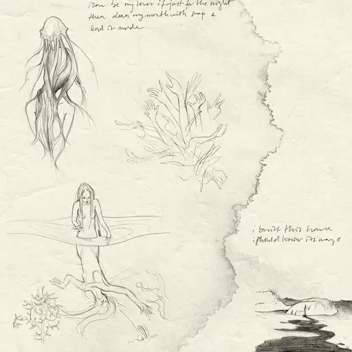 Single cover: i built this house