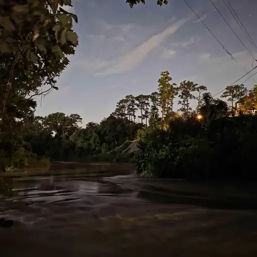 Single cover: january