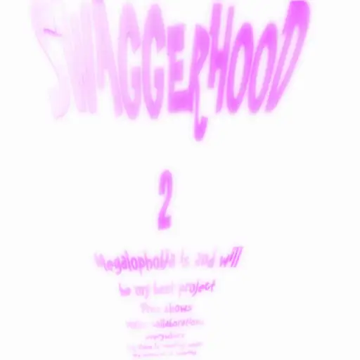 SWAGGERHOOD 2