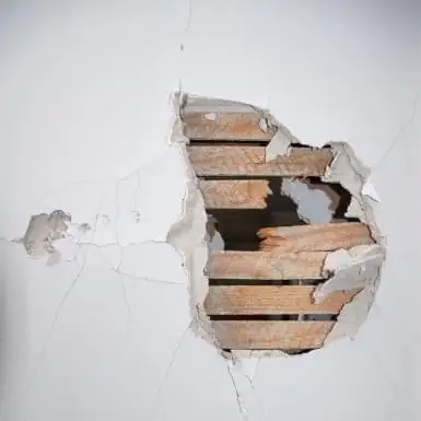 Single cover: GO WHITE BOY