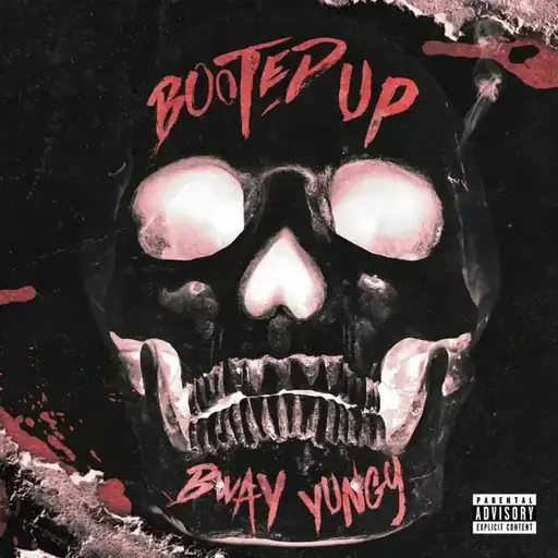 Single cover: Booted Up