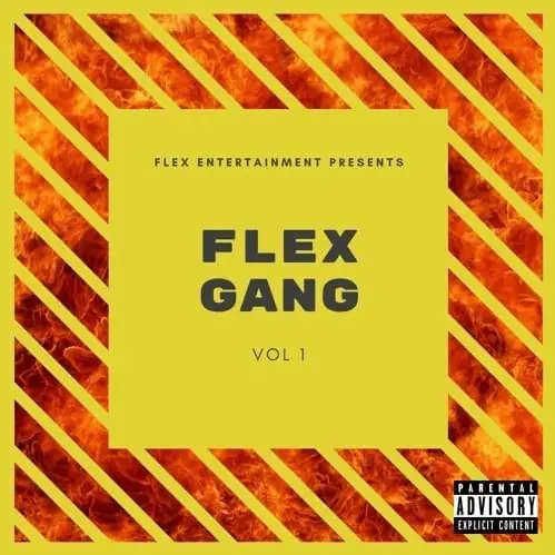 Album cover: Flex Gang, Vol. 1