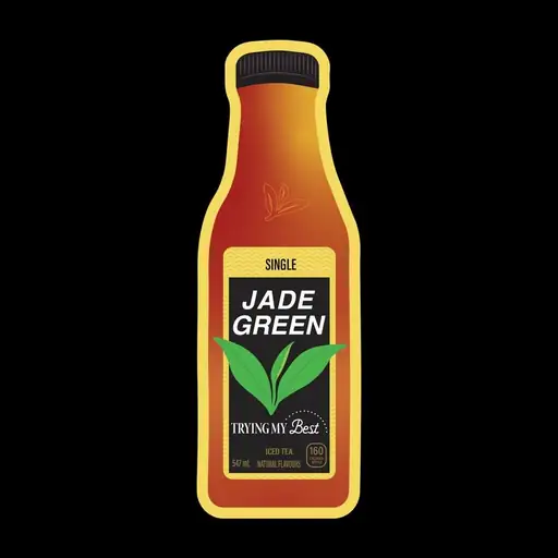 Single cover: Trying My Best