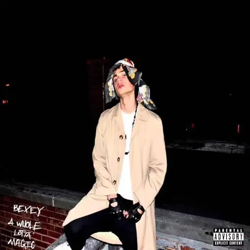 Single cover: Snakes, Ladders & Foxes