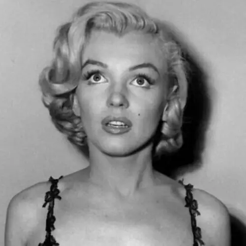 Single cover: dry wall