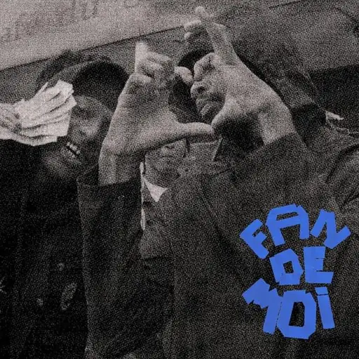 Single cover: FAN DE MOI