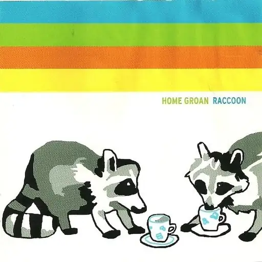 Raccoon