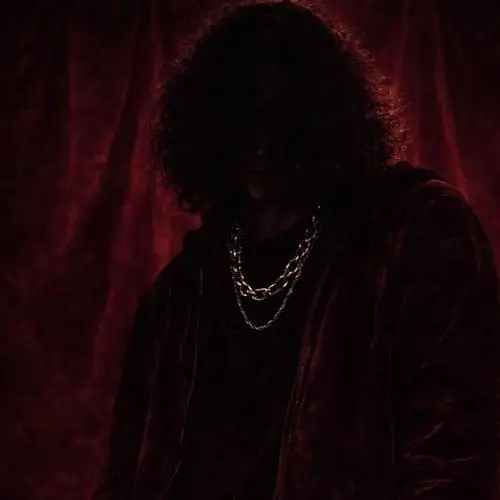 Single cover: velvet