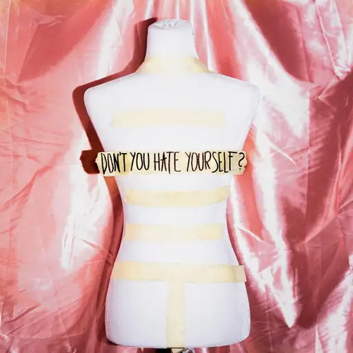 Single cover: Don't You Hate Yourself?