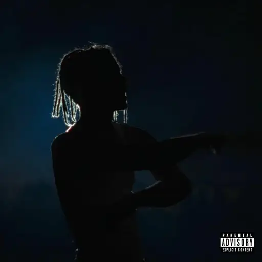 Single cover: FIENIN