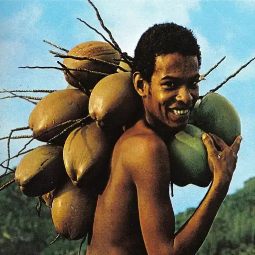 Single cover: CoConuts