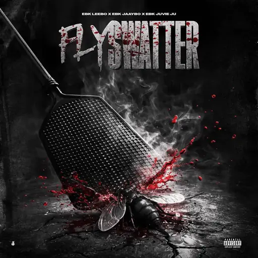 Single cover: Fly Swatter