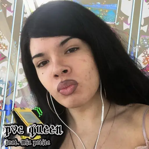 Single cover: PVC Queen