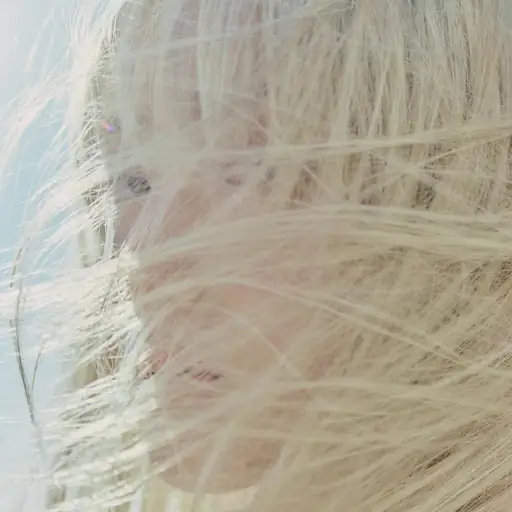 風に乗る (Kaze ni Noru)