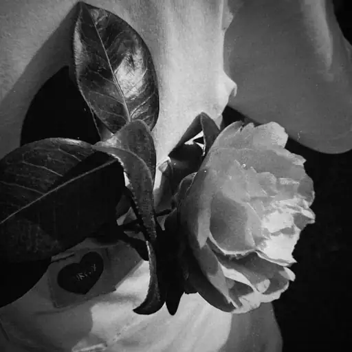 Single cover: PAR LES YEUX