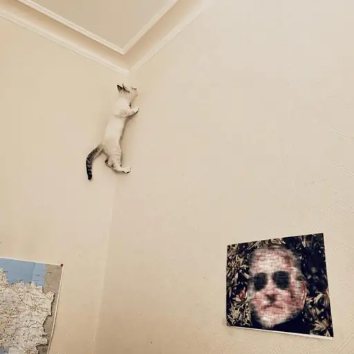 Single cover: Odessa