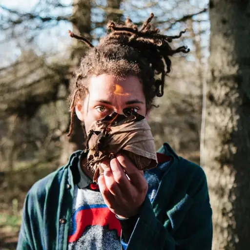 Kweku Collins