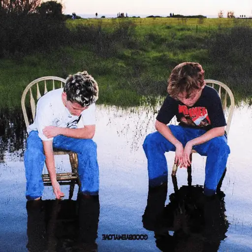 Album cover: GOODBYE MY LOVE