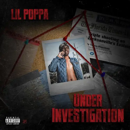 Album cover: Under Investigation
