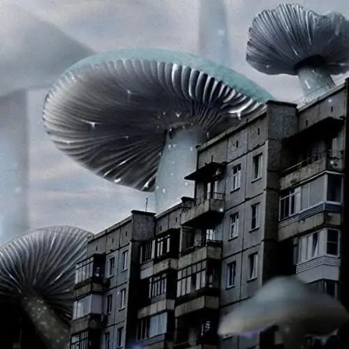 ︎digital psychosis