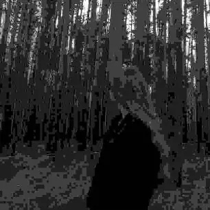 Single cover: She Cool Like Dove