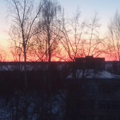 Нет! Нет! Нет! Нет!(No! No! No! No!)