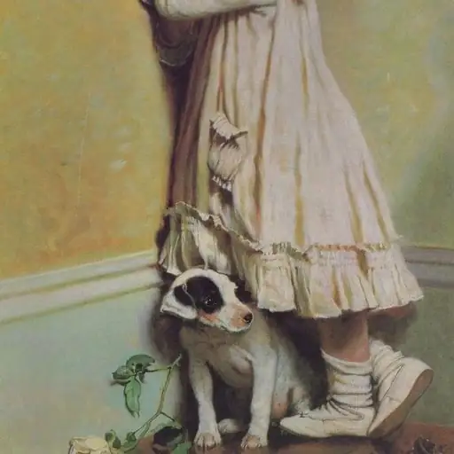 Single cover: Veselka City Lights