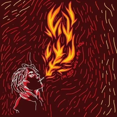 Single cover: And swallowed a match