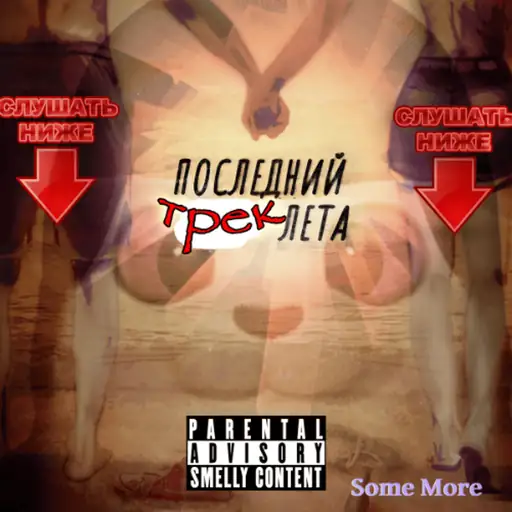 Single cover: ПОСЛЕДНИЙ ТРЕК ЛЕТА