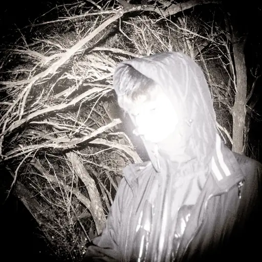 Single cover: Bend. Dent.