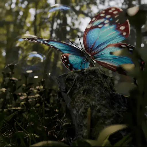 Album cover: forest creature