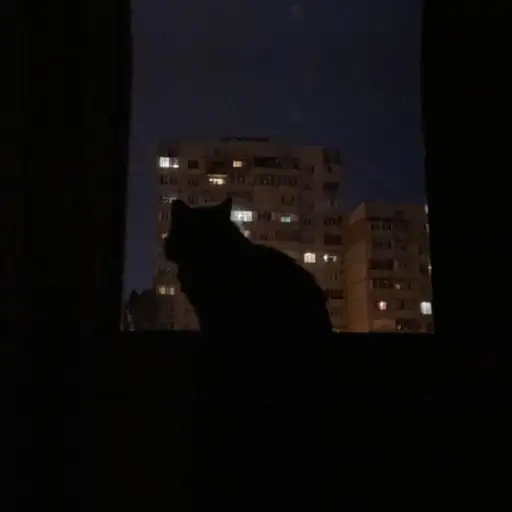 Single cover: я боюсь потерять твою руку в толпе