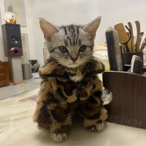 Single cover: К РАЙ