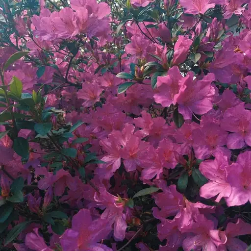 Single cover: wasted