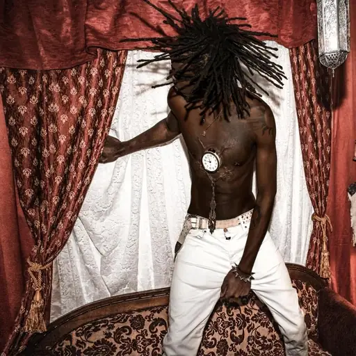 Single cover: PENDULE