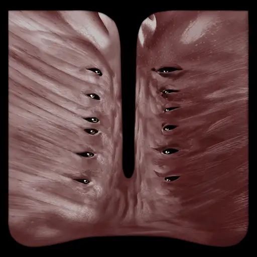 Single cover: For Jim, I Loved You