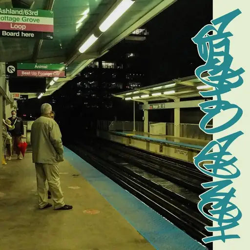 Single cover: Animal