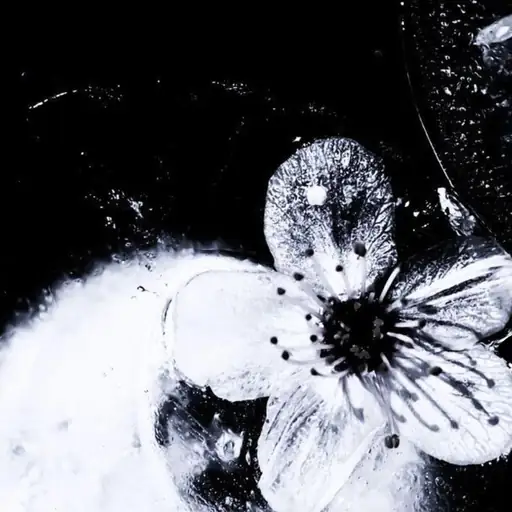 Single cover: Hiraeth