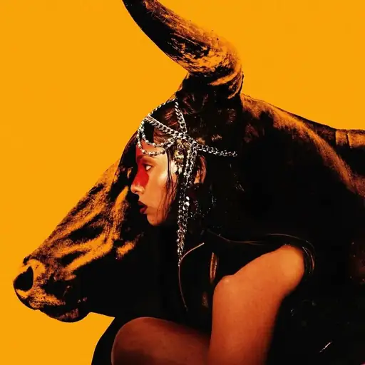 Single cover: MADRAS CHECKS