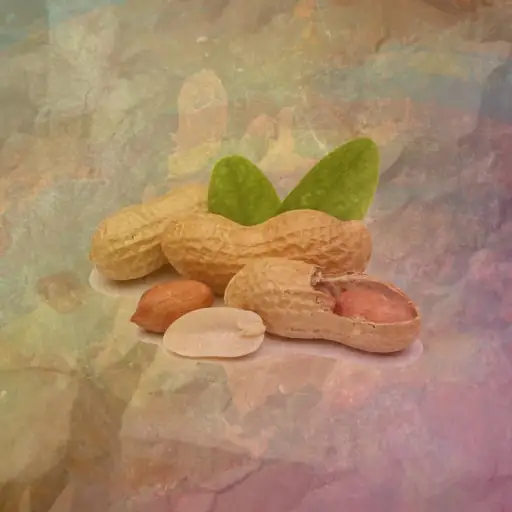 Bigger, Better, and Nuttier!