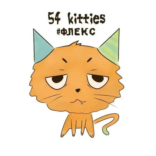54котика