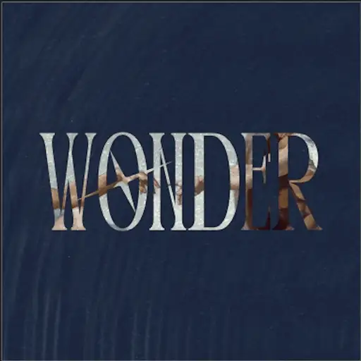 WONDER