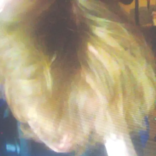 Single cover: stuck inside