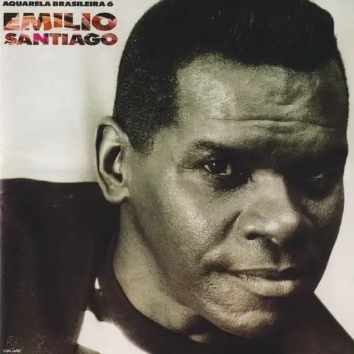 Aquarela Brasileira 6